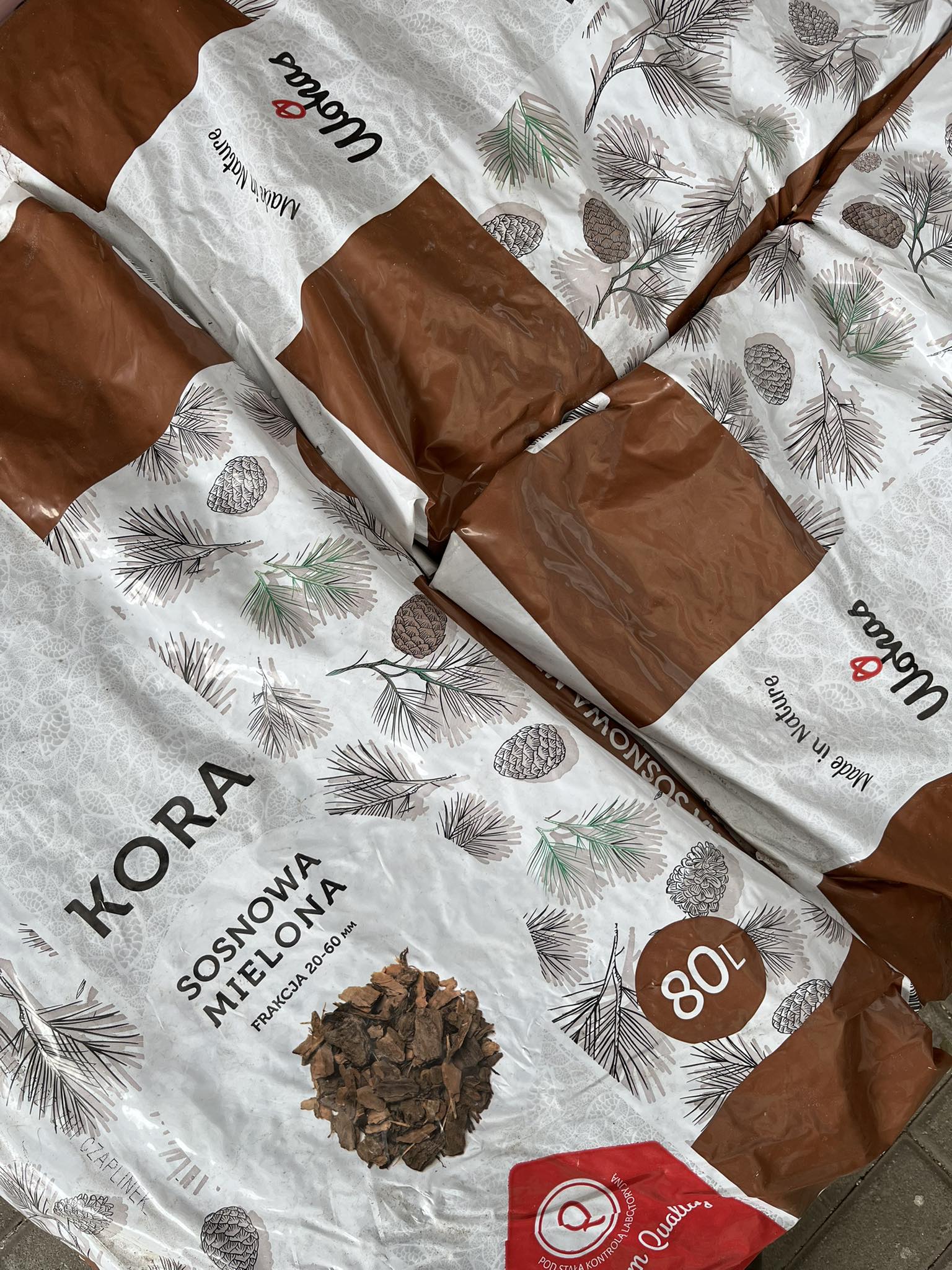 Kora Sosnowa