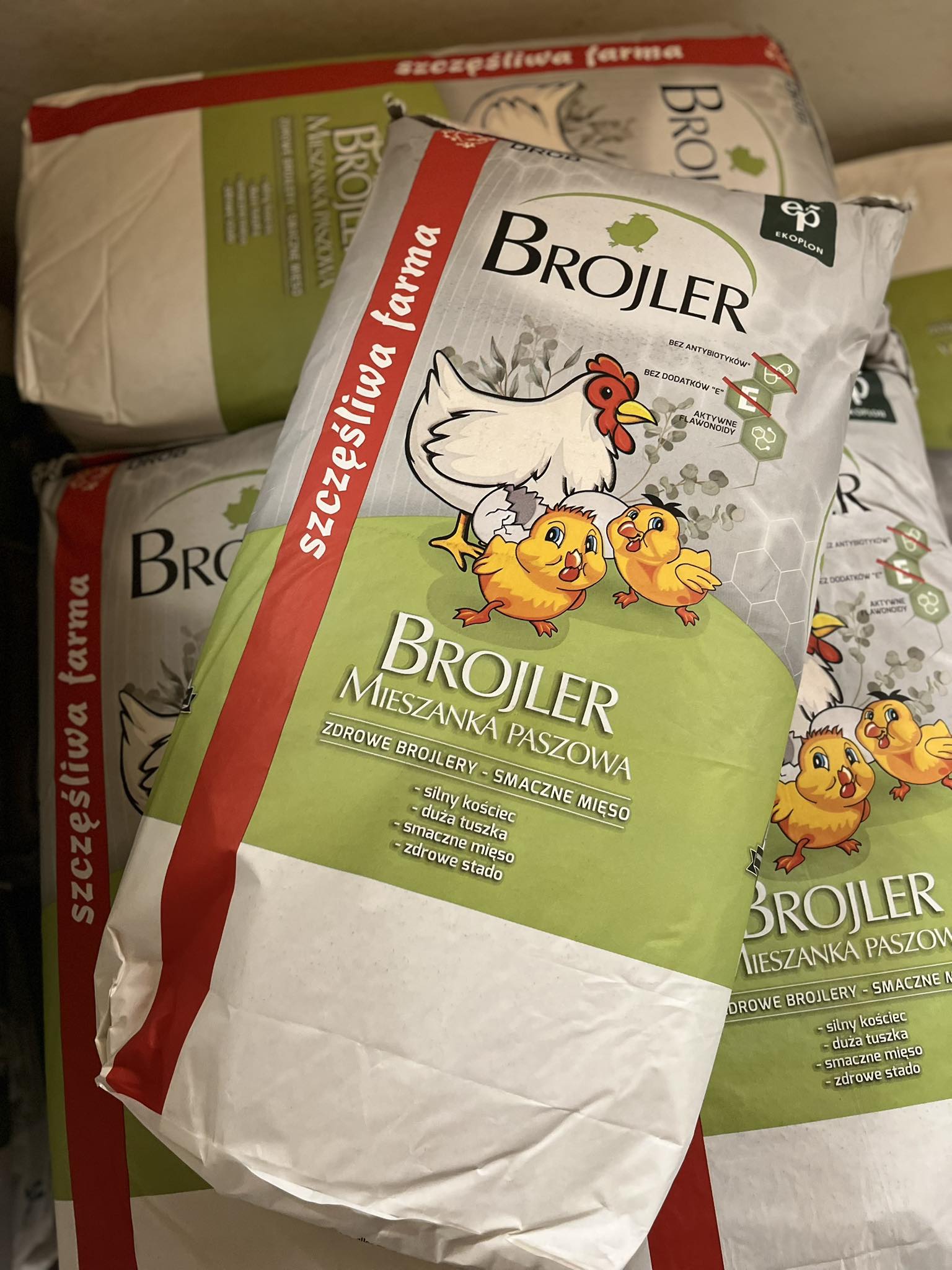 Pasza Brojler